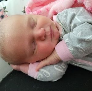 Meet your Posher, Louann